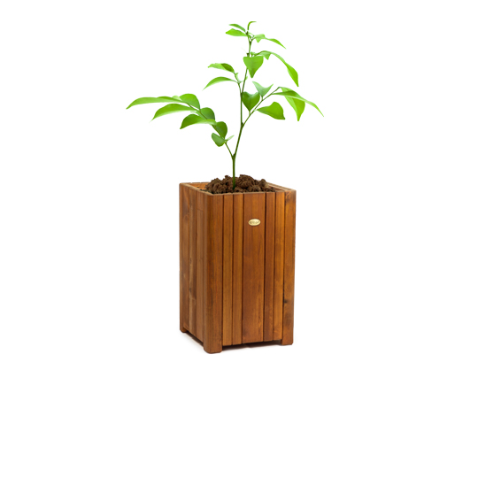 Adamo Planters · Ağac və Gül qabları - IDEA.AZ